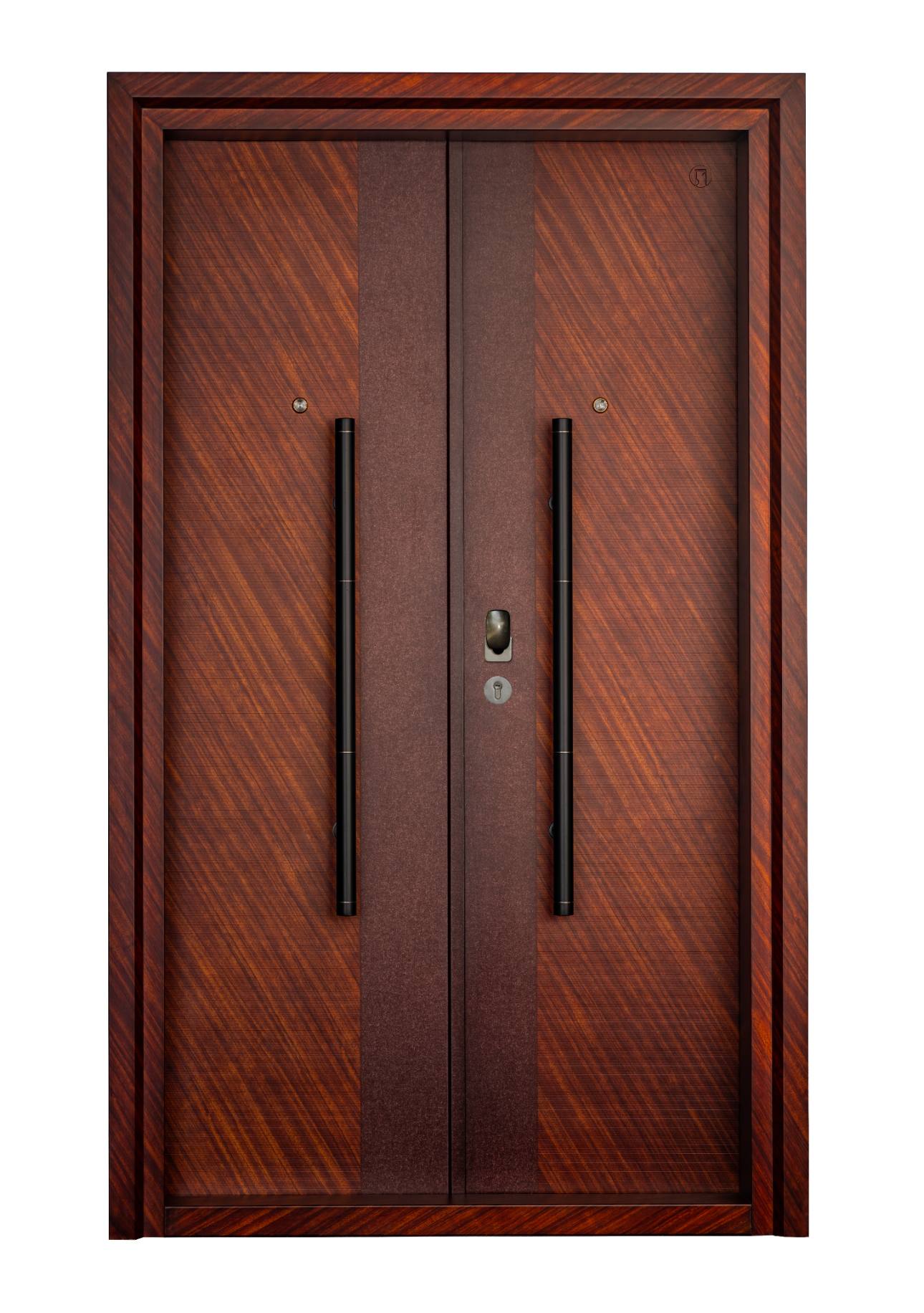 Top Steel Single Doors in India: Style, Security & Best Value